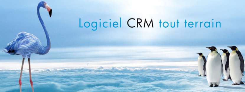 Blue note systems CRM : Optimisez la gestion client avec votre logiciel CRM