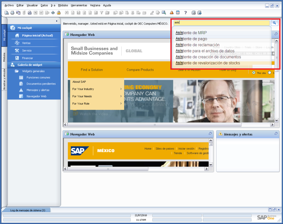 SAP Business One - SAP Business One-pantalla-0