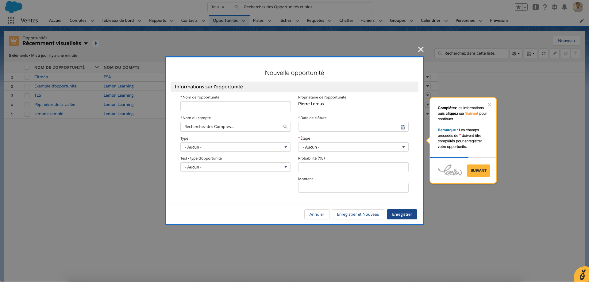 Lemon Learning : Libérez le potentiel de vos logiciels