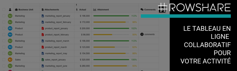 RowShare : Gestione collaborativa dati per team e progetti