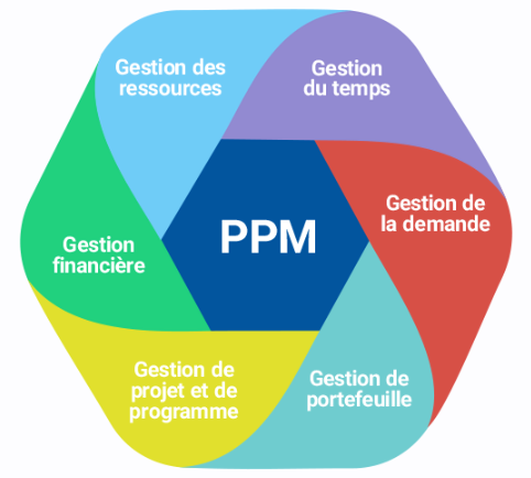 SoftExpert PPM - Diagramme PPM