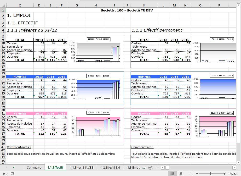 Emalti-RH - Emalti RH: Software Sozialbericht zu Excel (r)