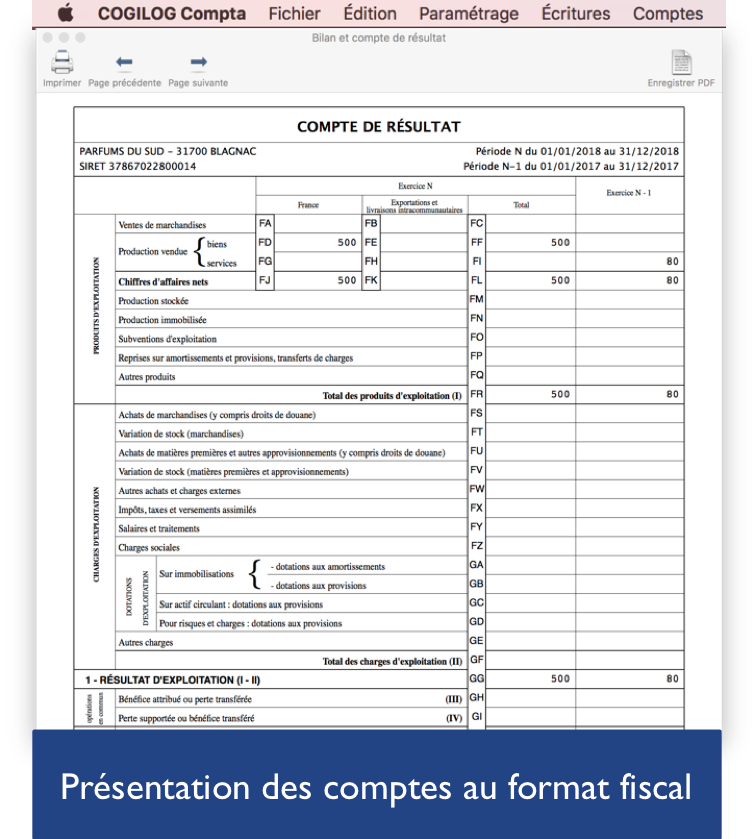 Cogilog Compta - Printing of financial statements