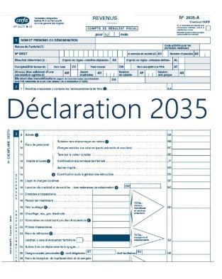 Self-med - 2035 Declaración