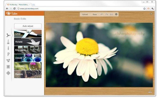 PicMonkey - Captura de pantalla 2