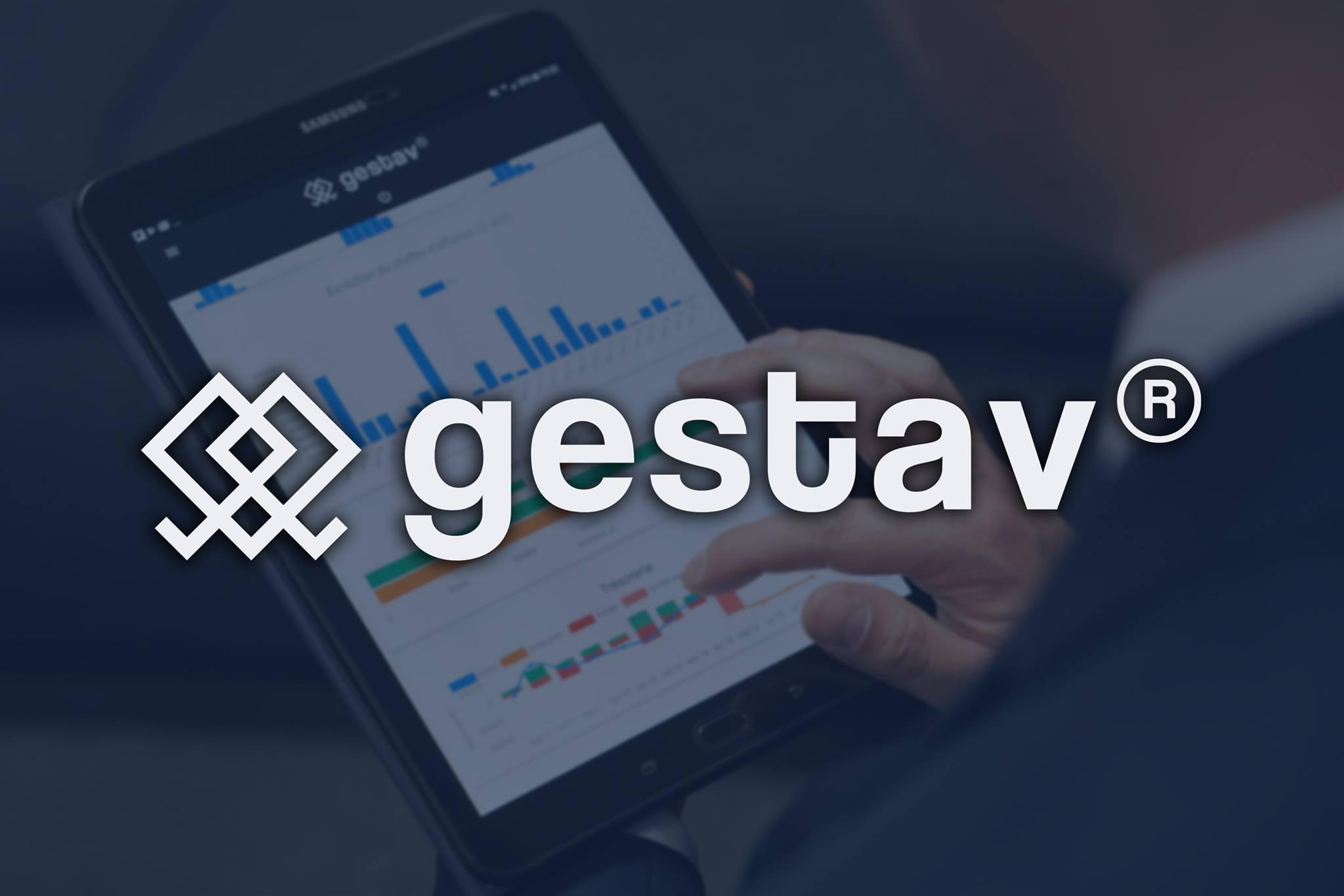 GESTAV : Innovación en Gestión de Almacenes Moderna