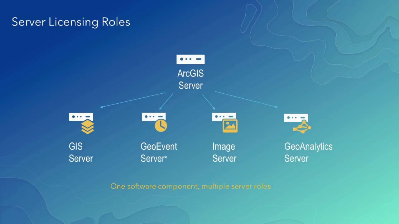 ArcGIS Enterprise : Soluzione Completa per la Gestione di Geodati