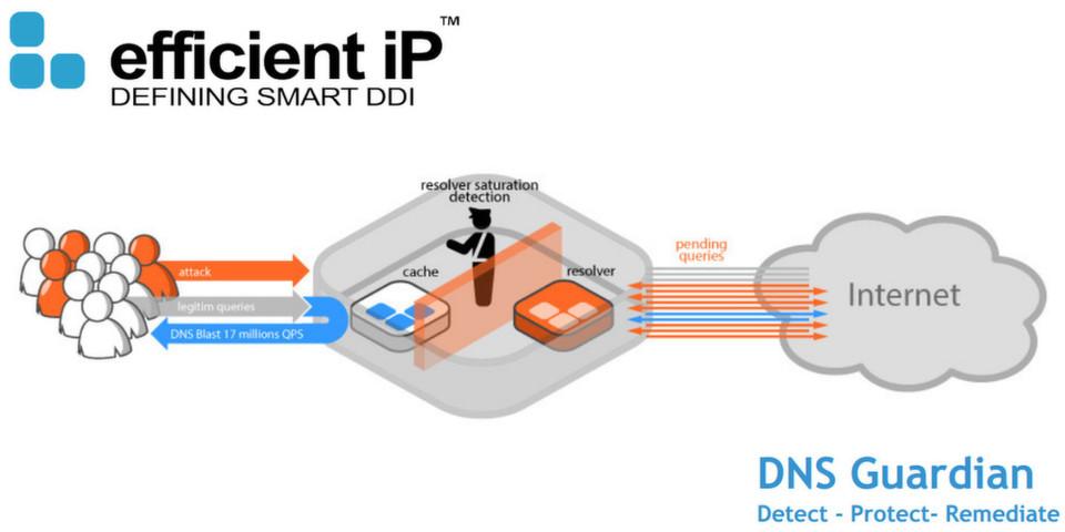 DNS Guardian : Advanced DNS Management for Seamless Connectivity