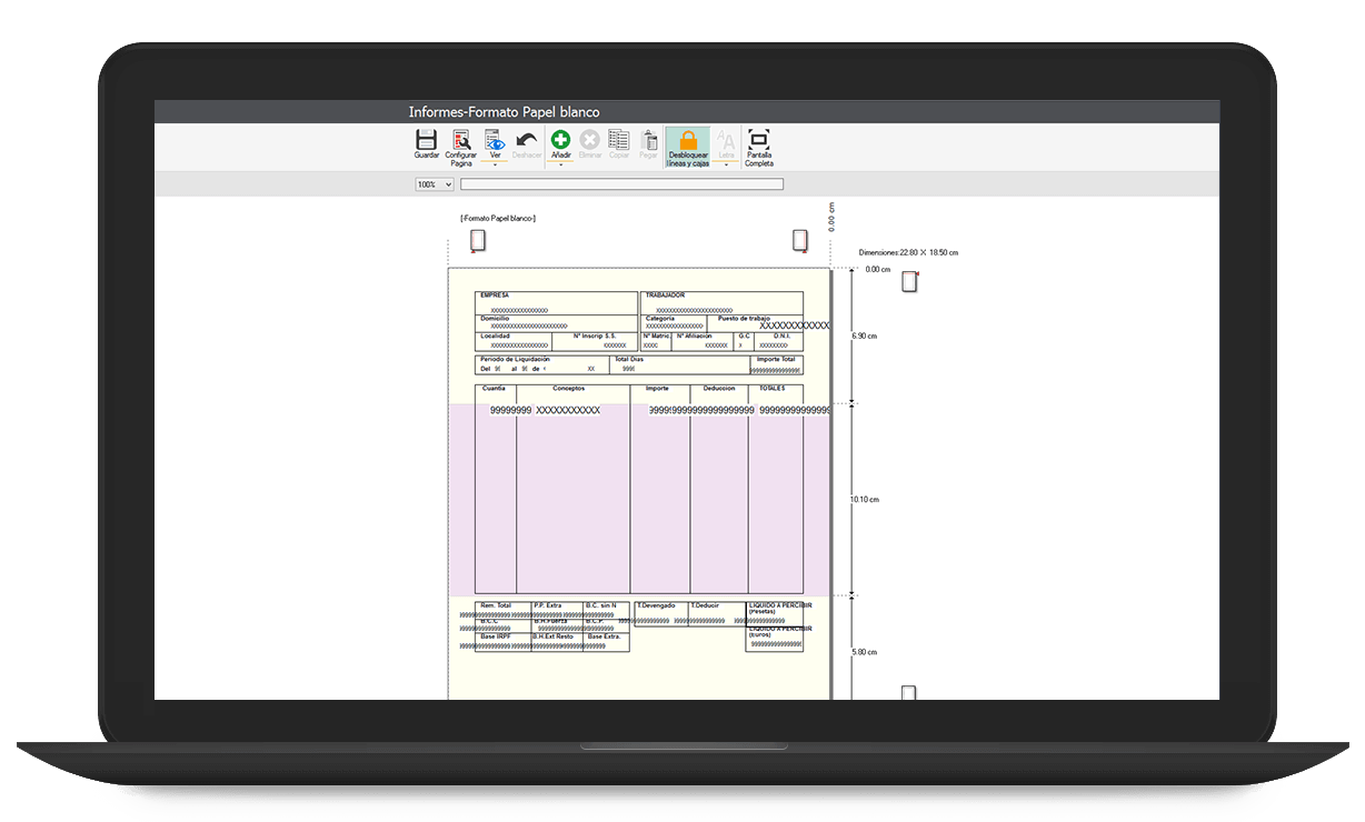 Sage Nominaplus - Screenshot 3