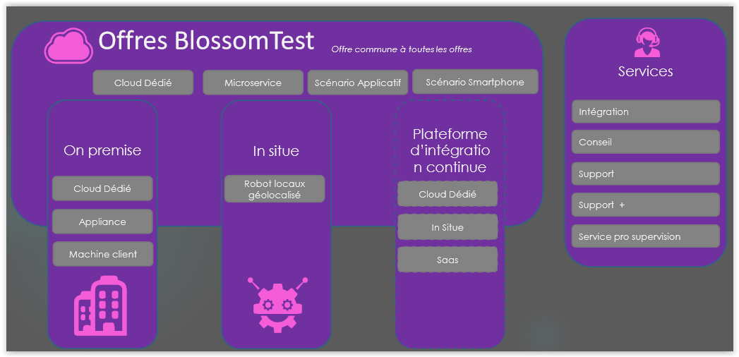 Blossom-test - Screenshot 2