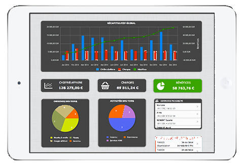 IziCaisse : Streamlined POS Solutions for Small Businesses