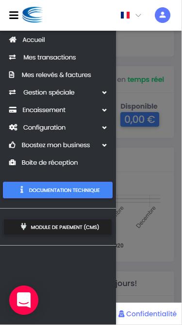 IPS Payment - Tableau de bord sur mobile