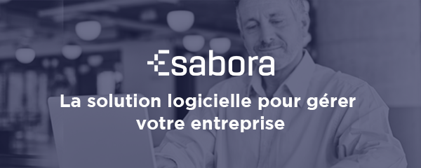 Esabora Digital Services : Esabora - La solution logicielle pour gérer votre entreprise