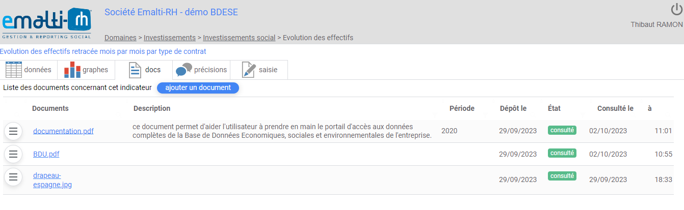 BDESE par Emalti-RH - Gestion électronique des docuements