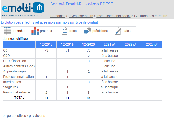 BDESE par Emalti-RH - Consultation des indicateurs