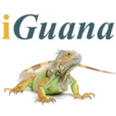 iGuana iDM : Efficient Document Management for Streamlined Workflows