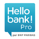 Hello bank! Pro logo