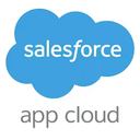 Salesforce Platform logo