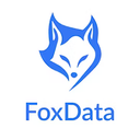 FoxData : Análise Avançada de Dados para Profissionais Exigentes