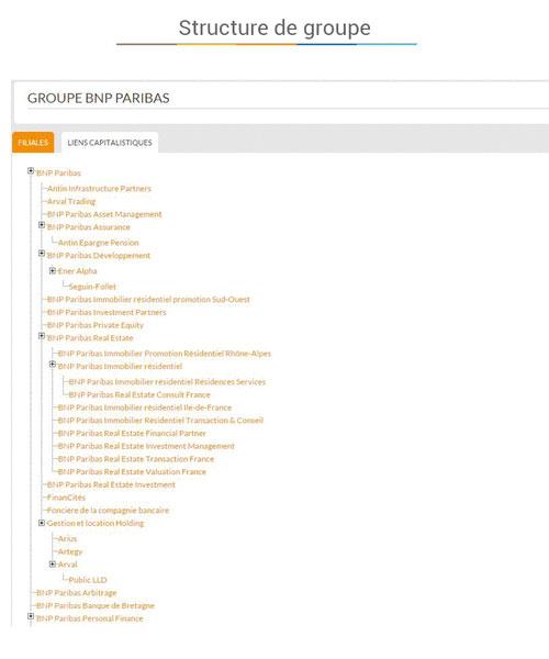 Nomination - Structure of a group of companies in Appointment