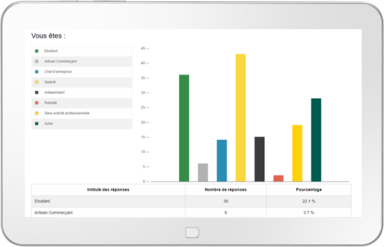 Drag'n Survey - El procesamiento automatizado y recuperación de datos.